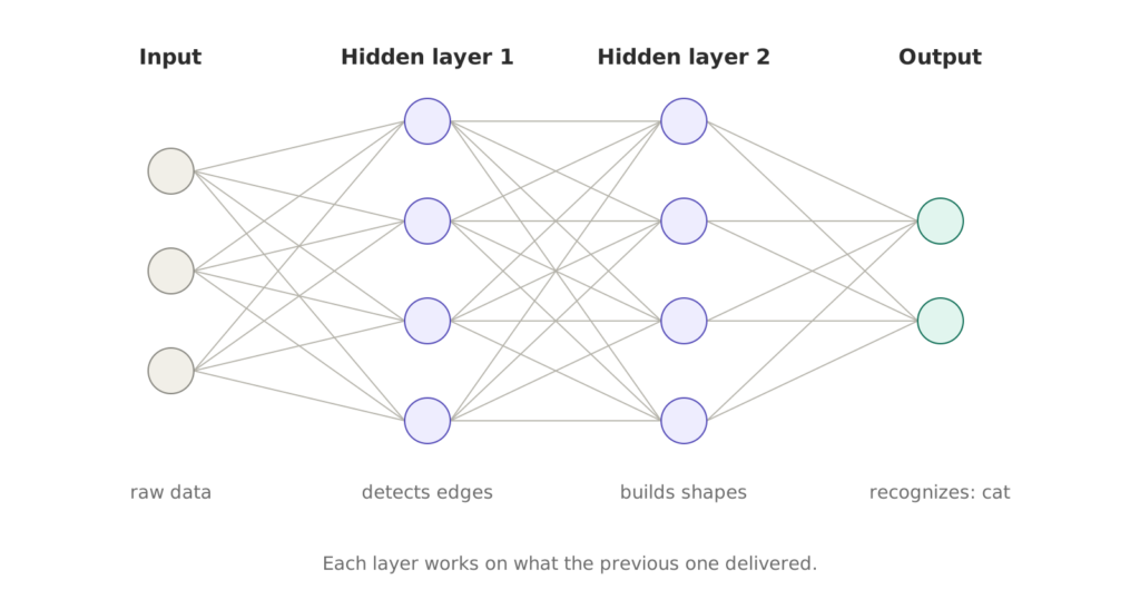 Diagram of a neural network with four columns of circles connected by lines: an input with three nodes, two hidden layers of four nodes and an output with two; underneath it reads raw data, detects edges, builds shapes and recognizes cat.