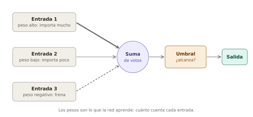 Esquema de una neurona artificial: tres entradas con flechas de distinto grosor, una gruesa, una fina y una punteada, llegan a un círculo de suma; de ahí pasan a un umbral y luego a la salida.
