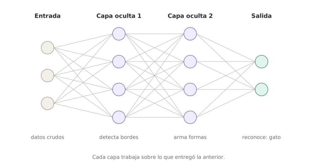 Esquema de una red neuronal de cuatro columnas de círculos conectados por líneas: entrada con tres nodos, dos capas ocultas de cuatro nodos y salida con dos; debajo se lee datos crudos, detecta bordes, arma formas y reconoce gato.
