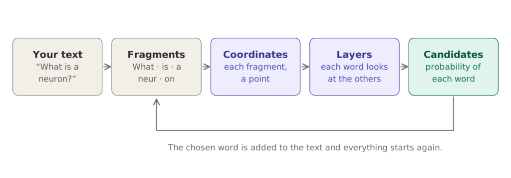 Five boxes in a row joined by arrows: your text, fragments, coordinates, layers and candidates; an arrow returns from candidates to fragments to show that the process repeats.